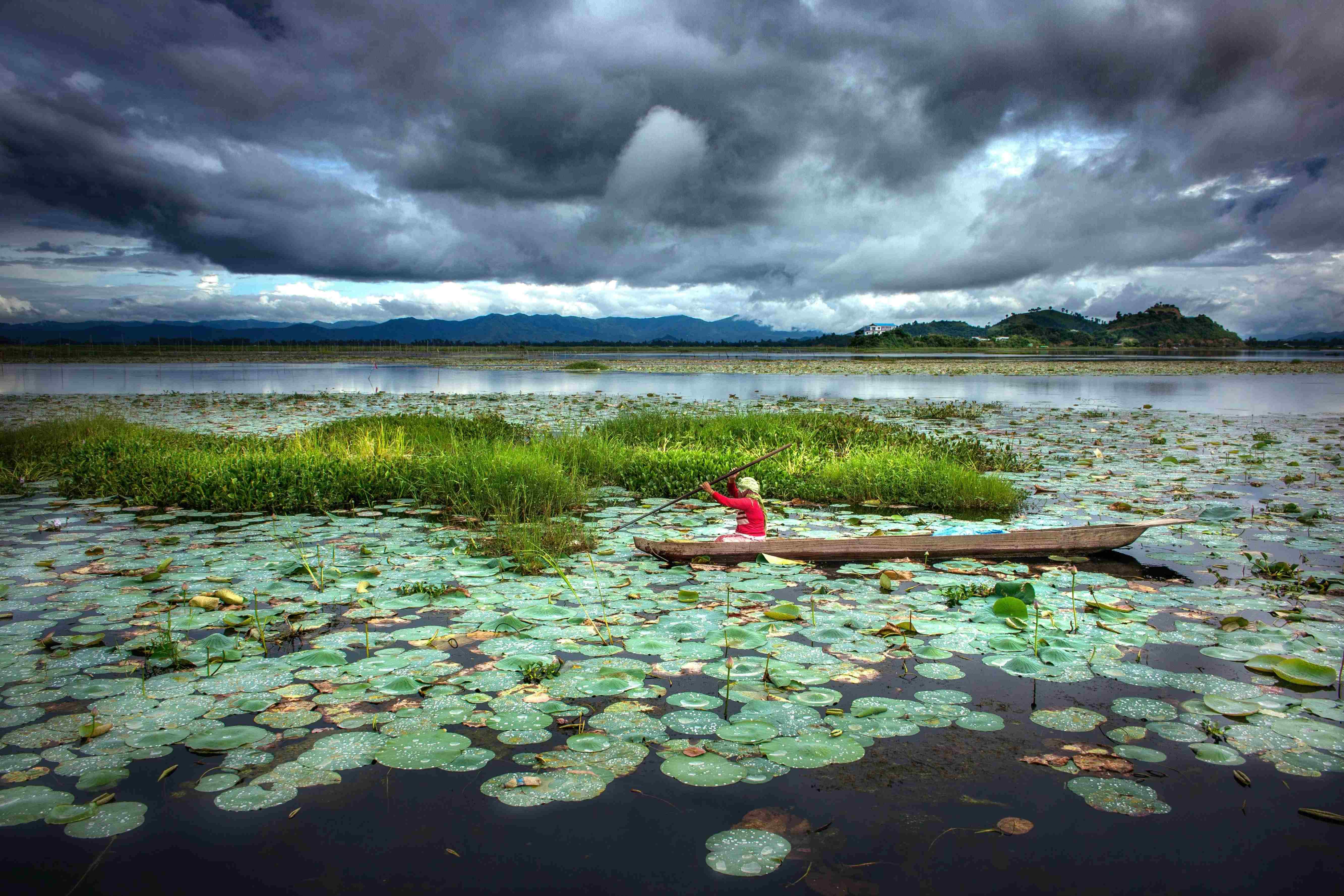 Scenic waters and floating vegetation of Loktak Lake in Manipur